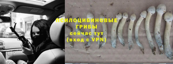 ГАЛЛЮЦИНОГЕННЫЕ ГРИБЫ Няндома