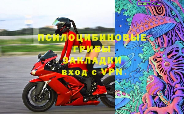 ГАЛЛЮЦИНОГЕННЫЕ ГРИБЫ Няндома