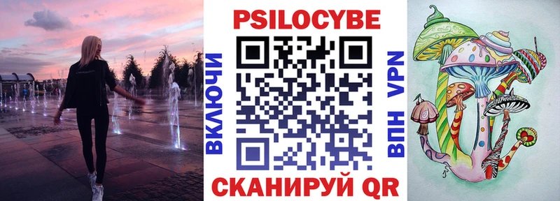 Галлюциногенные грибы Psilocybe  Купить где  Черногорск 