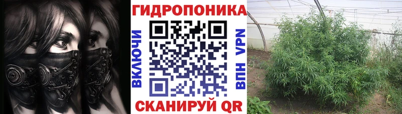 Бошки марихуана LSD WEED Черногорск